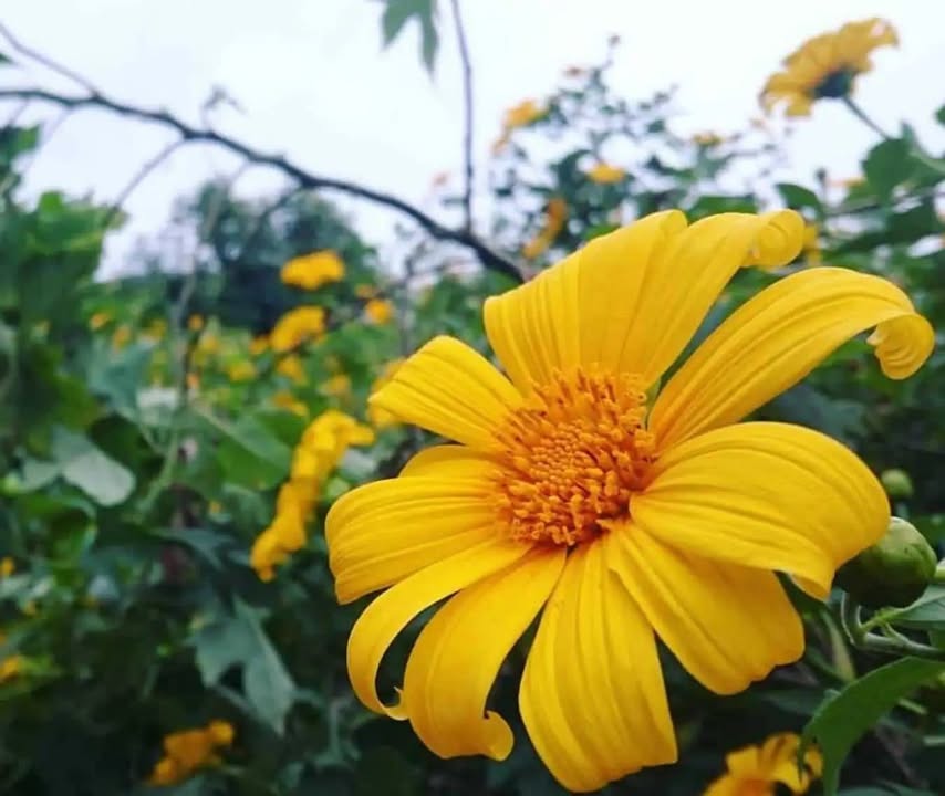 Nhà mặt tiền ôm góc hẻm 4m phường Quy Nhơn Nam 72m² giá 10 tỷ - Đầu tư sinh lời ngay!