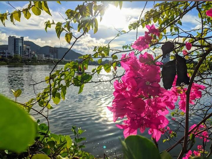 Nhà phố mặt tiền 2 tầng Thị Nại, Quy Nhơn 80m² giá 6.5 tỷ - Gần biển và chợ Đầm!