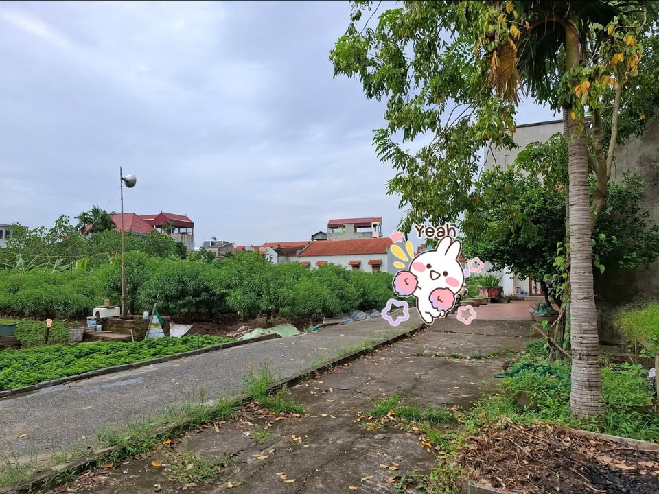 Đất thổ cư Hồng Vân 78.1m² - Đầu tư siêu lợi nhuận, giá tốt!