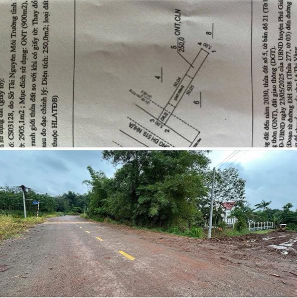 Đất nền chính chủ đường ĐH 519, Phước Sang, 250m² - Giá chỉ 550 triệu/lô!