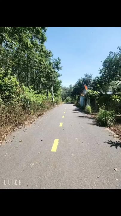 Đất nền Phước Hòa, Phú Giáo 675m² giá chỉ 1.3 tỷ - Cơ hội đầu tư tuyệt vời!