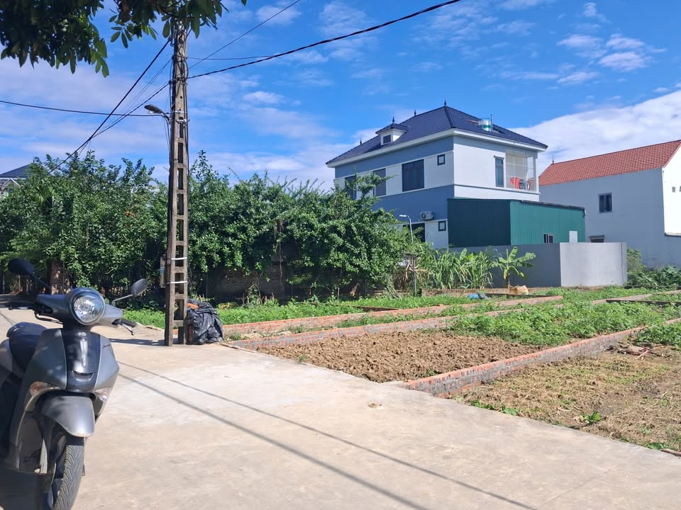 Đất nền lô góc LK3 Hòa Phong 60m² giá 1.6 tỷ - Cơ hội đầu tư hấp dẫn!