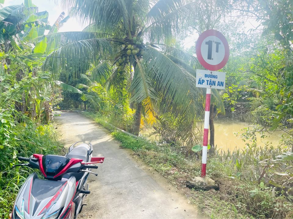 Lô đất nền 110m² tại Phường Tân Hạnh, Vĩnh Long - Giá chỉ 550 triệu