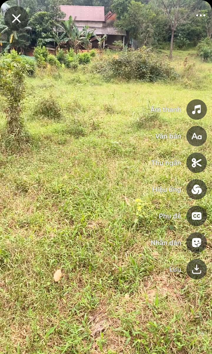 Đất nền Hải Lâm Hải Lăng 1200m² giá chỉ 2xx triệu - Đầu tư sinh lời ngay!