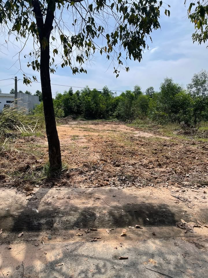 Đất nền Bến Cát Bình Dương 150m² giá chỉ 1.4 tỷ - Chính chủ bán gấp!