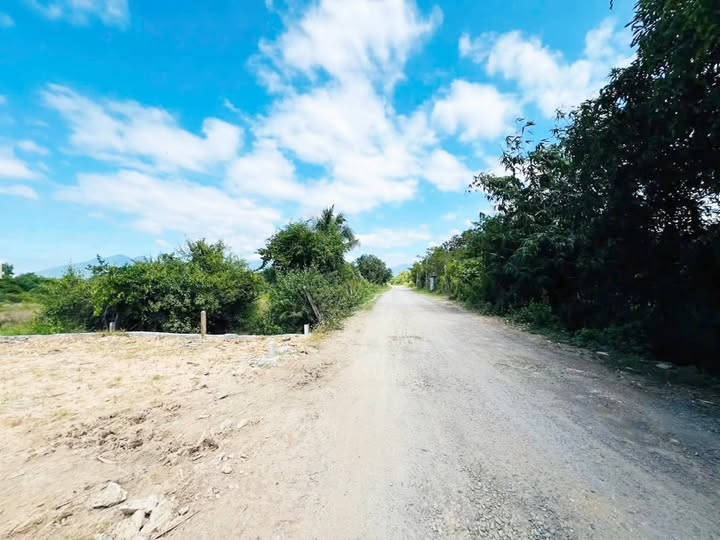 Đất nền Diên Thọ, Diên Khánh 101m² giá 624 triệu - Đầu tư an toàn ngay hôm nay!