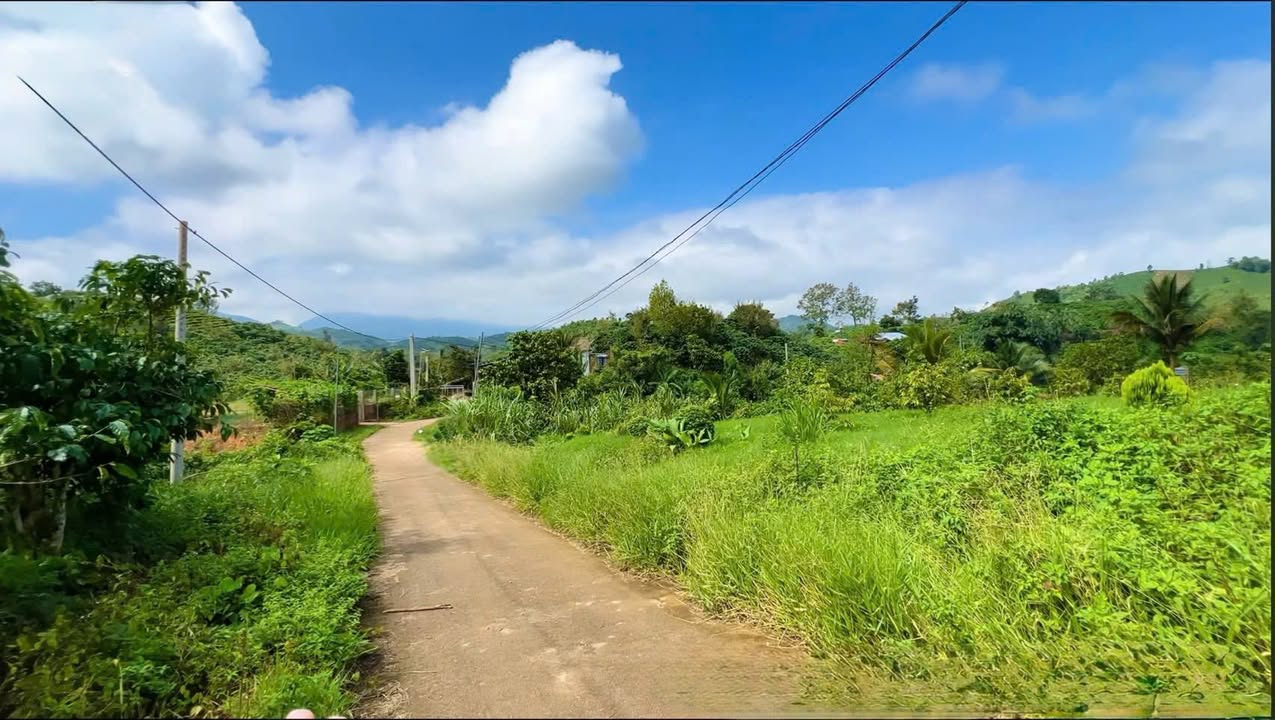 Đất nền Lộc Thành 1,1 sào giá chỉ 650 triệu - Sổ hồng chính chủ!