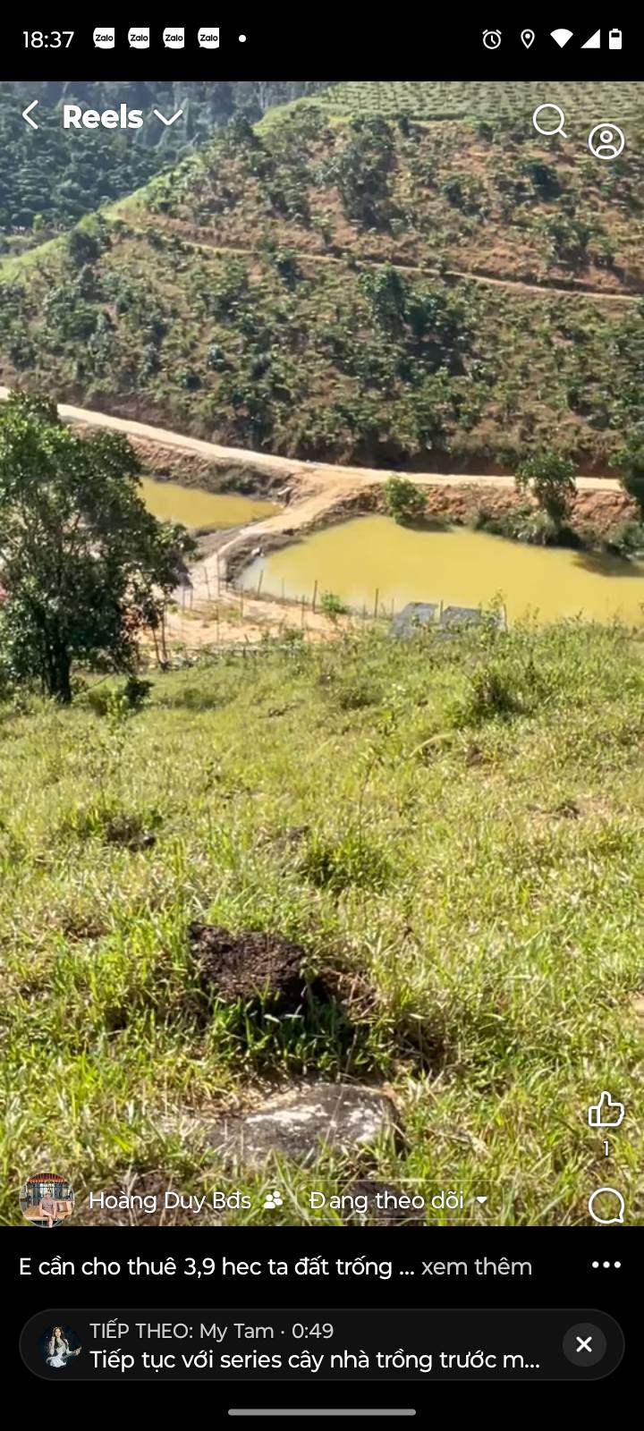 Farm cho thuê 3.9ha Thôn 4 Lộc Tân giá 60 triệu/năm - Tiềm năng trồng cây ăn quả