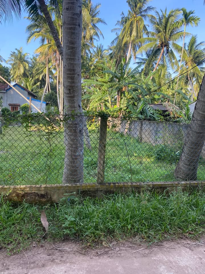 Đất nền Hoài Nhơn 110m² giá chỉ từ 300 triệu - Đầu tư sinh lời ngay hôm nay!