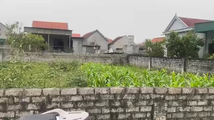 Đất nền Quỳnh Diễn 126m² giá 1.1 tỷ - Cơ hội đầu tư hấp dẫn!