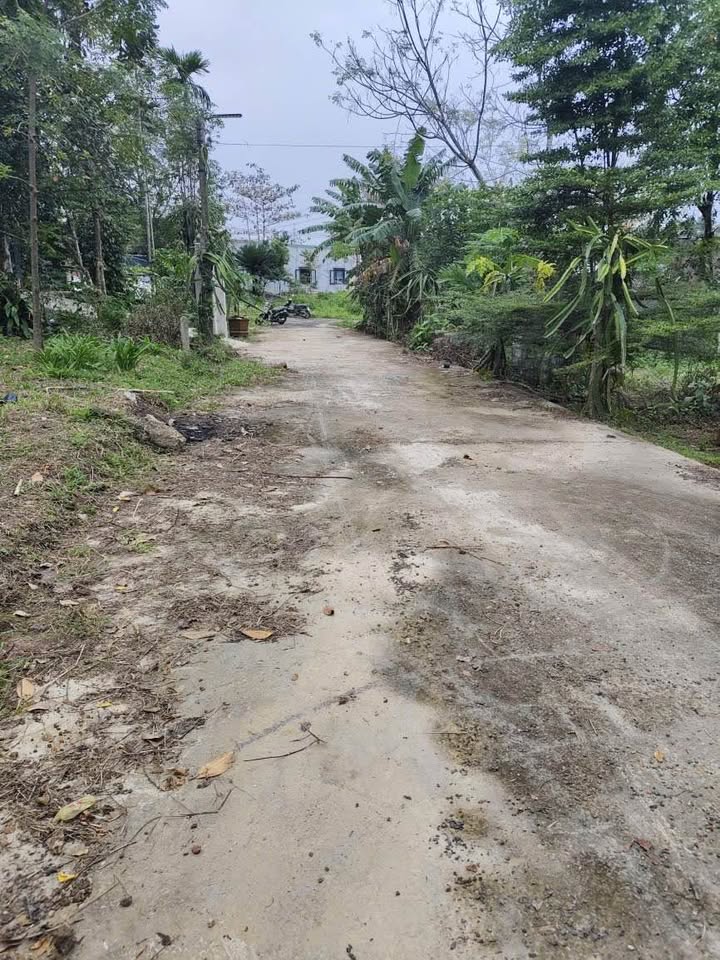 Đất ở đô thị Hòa Khánh, Liên Chiểu 210m² - Đường lớn ô tô tận nơi, sạch đẹp!