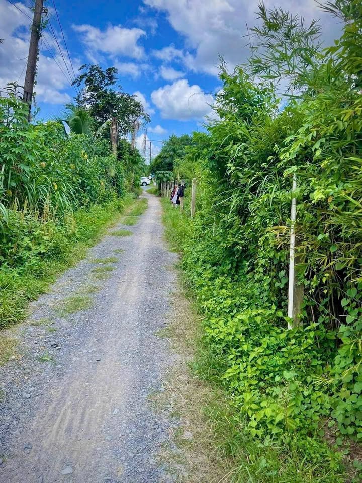 Đất nền Phước Thạnh, Củ Chi 600m² giá 4 tỷ - Vị trí đẹp, vuông vức!