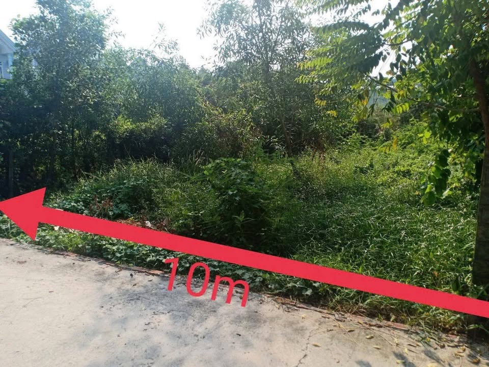 Đất nền Bình Mỹ 315m² giá 4.5 tỷ - Vị trí thuận lợi, thương lượng