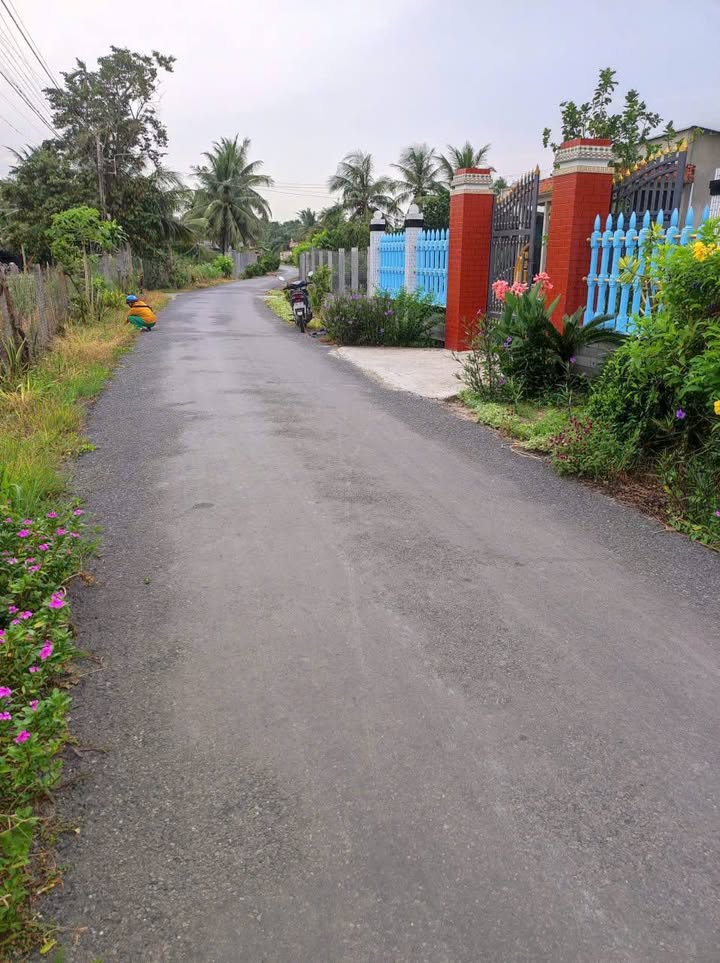 Đất thổ cư 196m² giá 490 triệu tại Chợ Gạo - Pháp lý rõ ràng, đầu tư sinh lời!