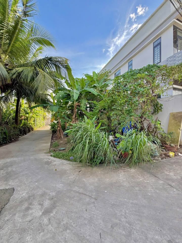 Đất nền đường Trần Nguyên Hãn, phường 9, Mỹ Tho 100m² giá 950 triệu - Vị trí đắc địa gần trung tâm!