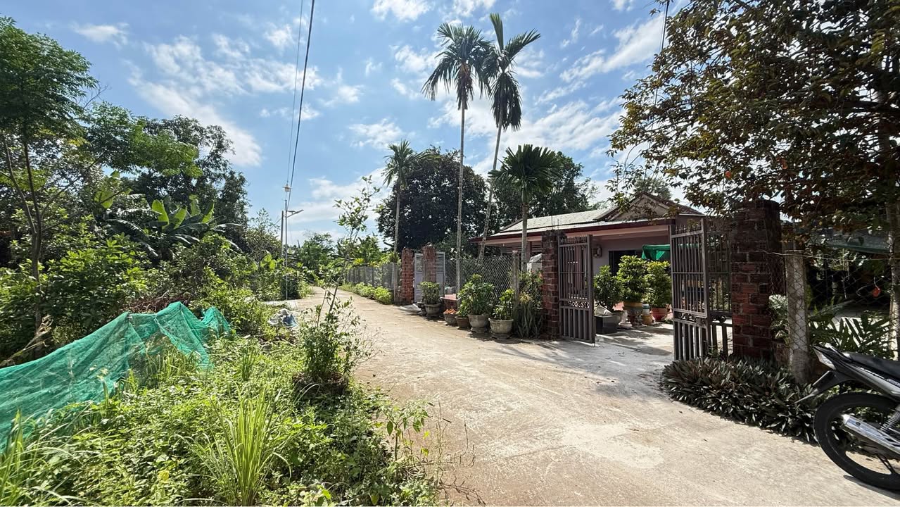 Lô đất Hoà Phong Đà Nẵng 140m² giá 2.55 tỷ - Tiềm năng đầu tư sinh lợi cao!