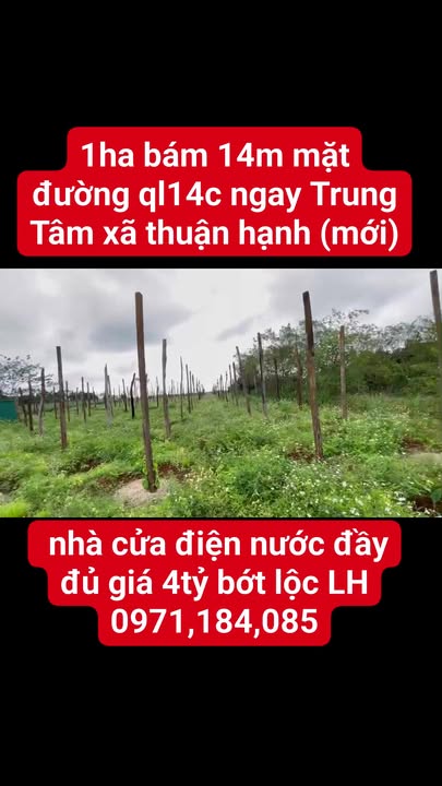 Đất nền 1ha mặt tiền Quốc lộ 14C tại xã Thuận Hạnh - Giá 4 tỷ bớt lộc!