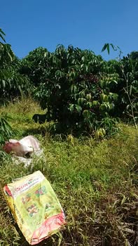 Đất nền Đắk R'măng 25.000m² giá 4,4 tỷ - Cơ hội đầu tư hấp dẫn!