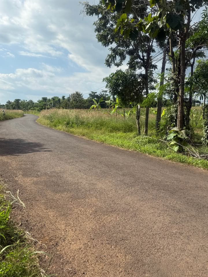 Đất 2 mặt tiền đường nhựa Hòa Xuân, Buôn Ma Thuột 10.000m² giá chỉ 3.85 tỷ - Cơ hội đầu tư tuyệt vời!