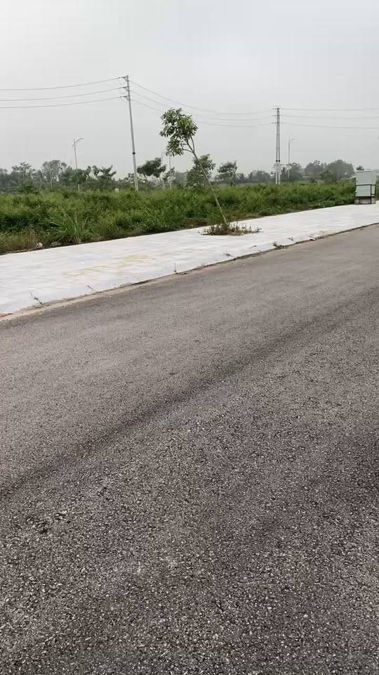 Đất nền thôn Nam Hạc, xã Hoằng Phong 160m² giá 1.2 tỷ - Hướng Đông view công viên!