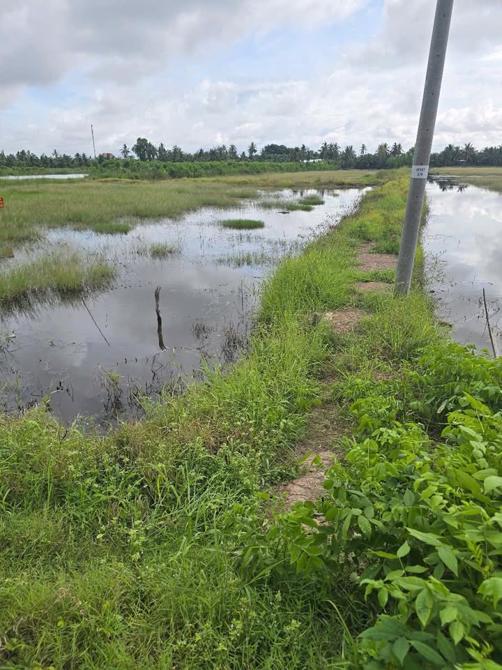 Đất nền 1383m² tại xã An Minh Bắc, huyện U Minh Thượng - Giá chỉ 8.085 tỷ, sổ hồng riêng!