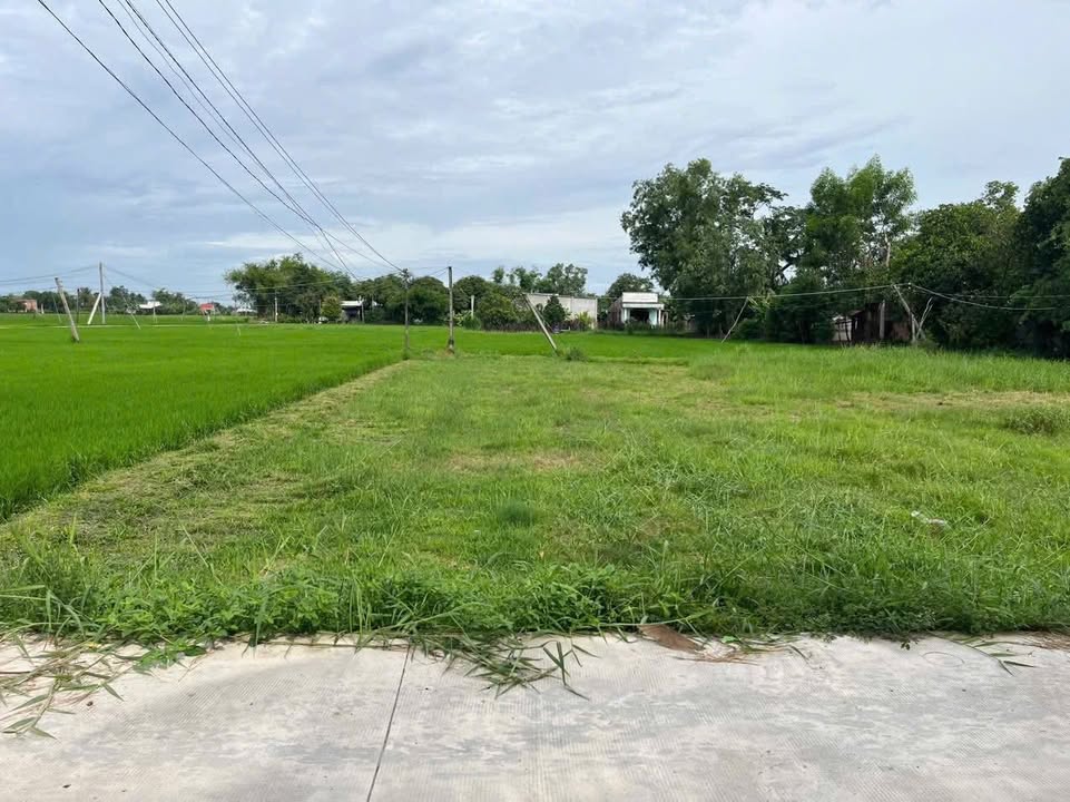 Đất thổ cư Hiệp Hòa, Đức Hòa 360m² giá 1.5 tỷ - Pháp lý rõ ràng, đường ô tô vào tận nơi!