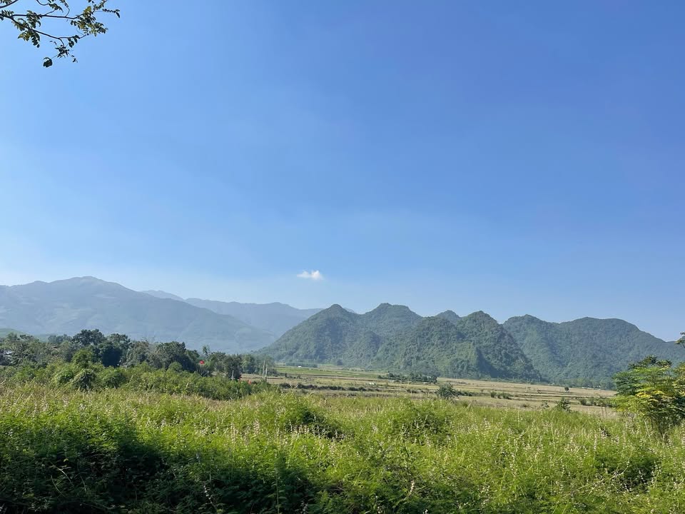 Đất nền Kim Bôi 550m² giá 650 triệu - Đầu tư nghỉ dưỡng lý tưởng!