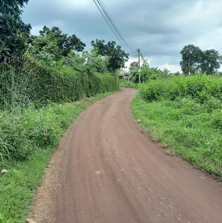 Đất Suối Cao Xuân Lộc 2000m² - Giá chỉ 700 triệu - Sổ đỏ chính chủ!