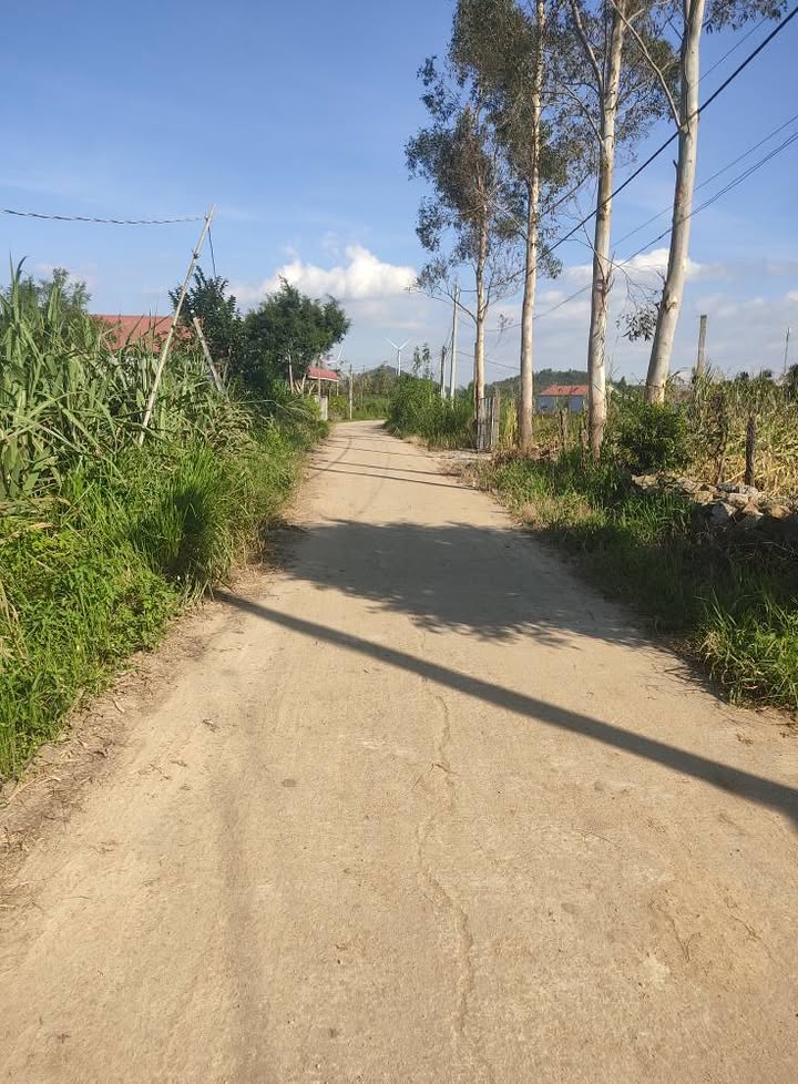 Đất nền thổ cư An Khê 175m² giá chỉ 280 triệu - Cơ hội đầu tư tuyệt vời!