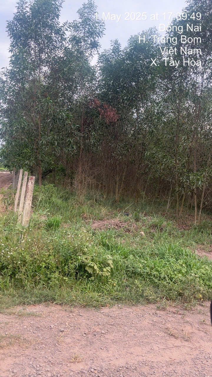 Đất nền Tây Hòa Trảng Bom 20.000m² giá 20 tỷ - Đường xe tải chạy vi vu!