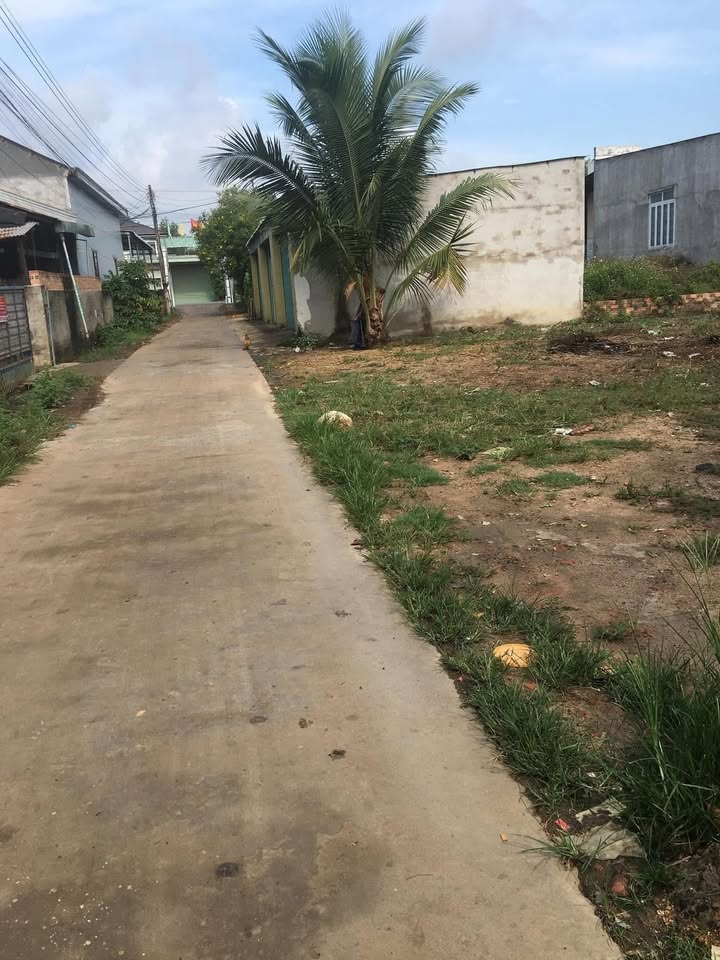 Đất nền Cẩm Mỹ Đồng Nai 488m² giá 2 tỷ - Đầu tư sinh lời, tiện ích xung quanh