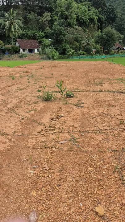 Đất nền Đăng Hà, Bù Đăng 1600m² - Sổ đỏ chính chủ, giá thương lượng