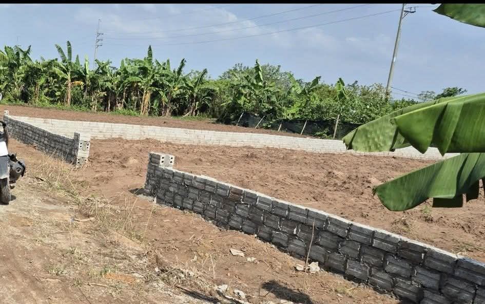 Đất nền Khu 5 Sài Sơn Quốc Oai 330m² giá 1 tỷ - Chính chủ bán gấp!