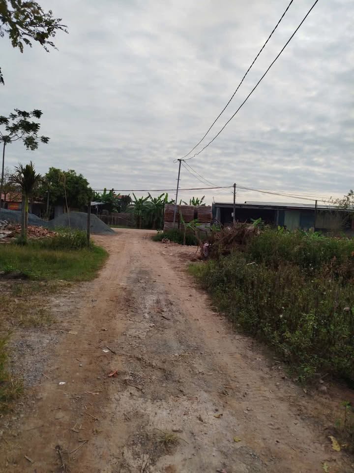 Đất Sài Sơn Quốc Oai 296m² giá 1.184 tỷ - Đường thông ô tô vào tận đất!