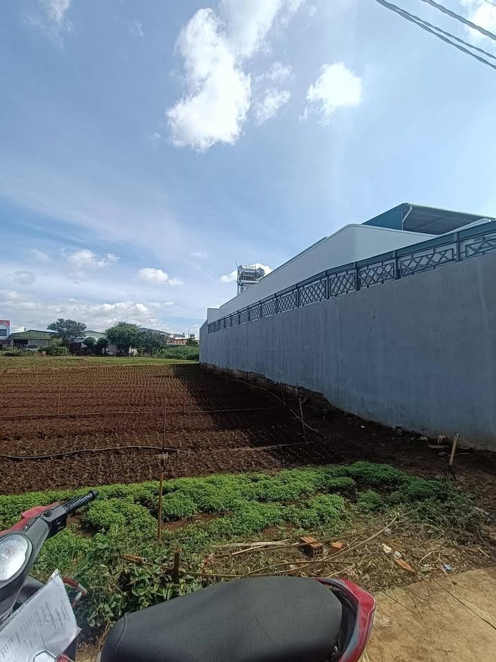 Đất nền hẻm 74 Phan Đình Phùng, Đức Trọng 145m² giá 2 tỷ - Cơ hội đầu tư tuyệt vời!