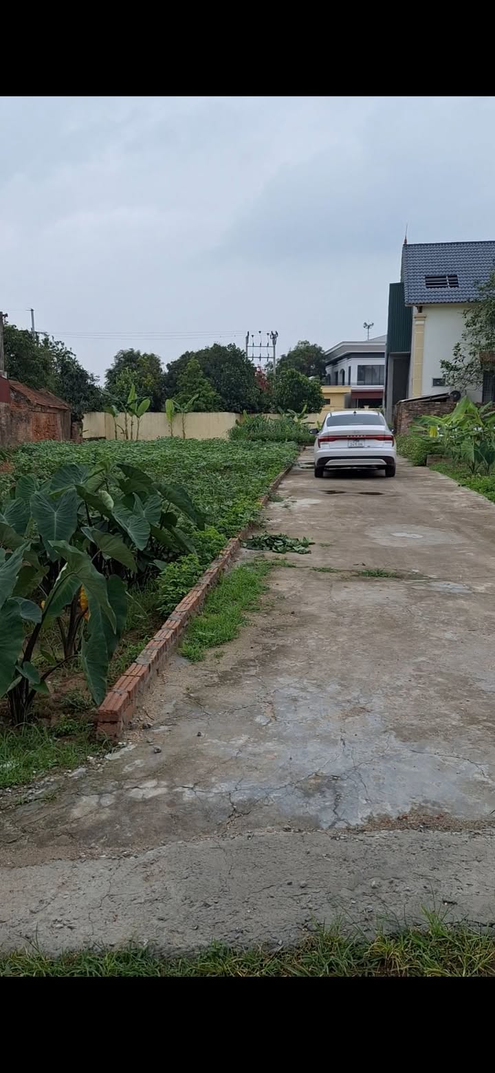 Đất nền Lương Tài, Bắc Ninh 101m² giá 1.5 tỷ - Vị trí thuận lợi, cơ hội đầu tư hấp dẫn!