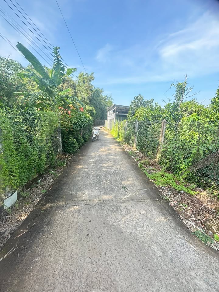 Đất vườn Bình Nghị 2600m² giá 1.5 tỷ - Sổ đỏ chính chủ, thương lượng ngay!