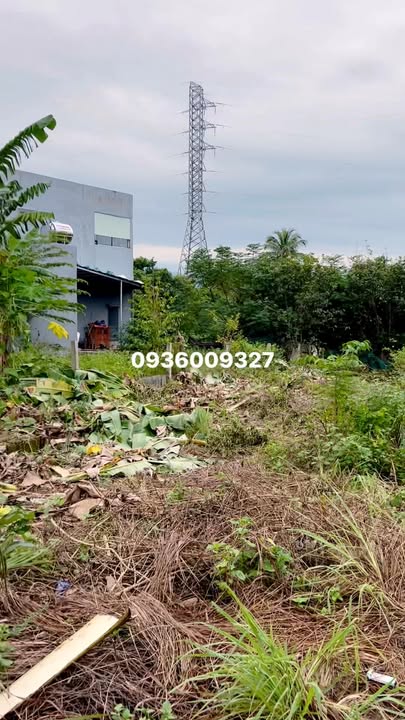 Đất nền Hòa Tiến Đà Nẵng 150m² giá 800 triệu - Đường ô tô lưu thông thuận tiện!