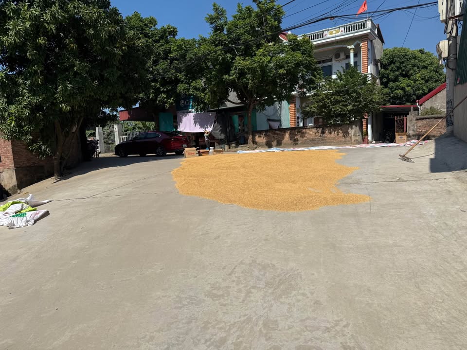 Đất nền Đại Lai - Bắc Ninh 86m² giá chỉ 1 tỷ - Cơ hội đầu tư hấp dẫn!