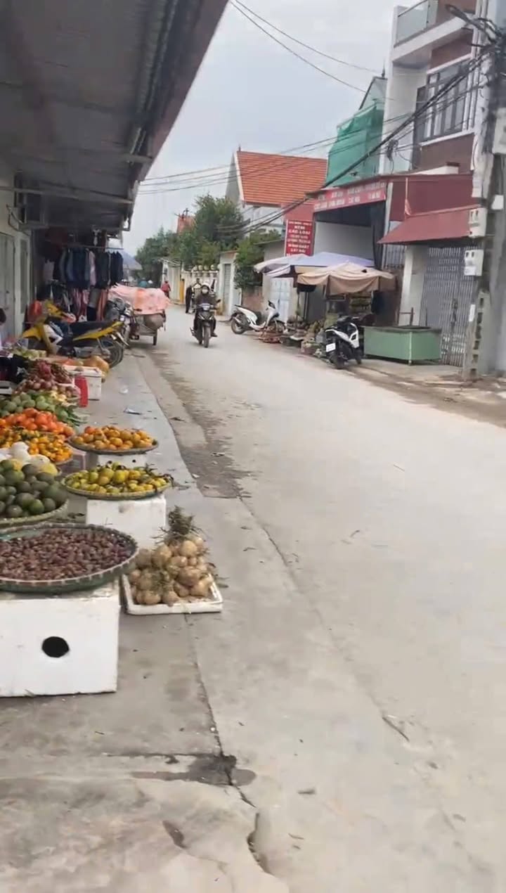 Đất nền Tân Viên An Lão 62.5m² giá 600 triệu - Cơ hội đầu tư tuyệt vời!