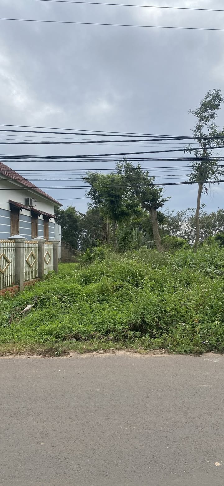 Đất nền Ninh Thanh 2, xã Ea Kmút, 450m² chỉ 1 tỷ - Đầu tư sinh lời hấp dẫn!