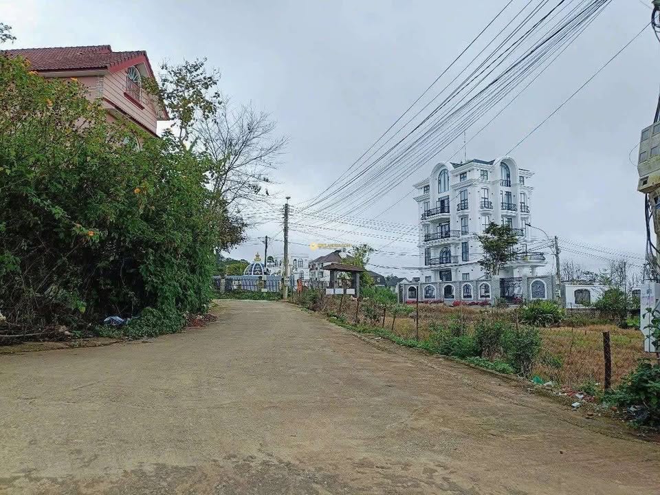Đất Biệt Lập Hai Mặt Tiền Ngô Tất Tố, Đà Lạt 217m² giá 9.5 tỷ - Cơ hội đầu tư hiếm có!