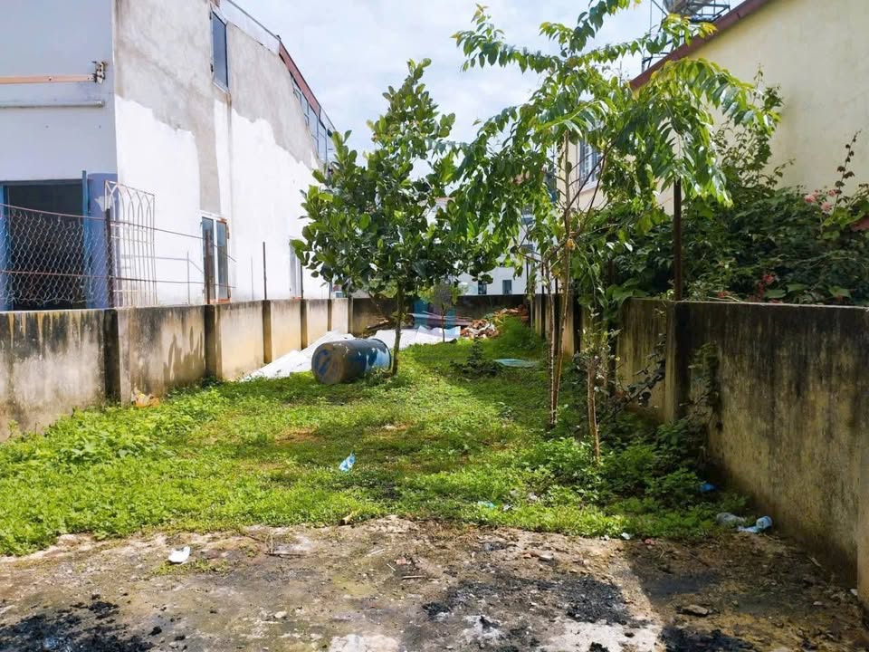 Đất Nguyễn Trung Trực, Phường Xuân Hương, Đà Lạt - 100m² giá 1.65 tỷ - Hẻm ô tô vào tận nơi!