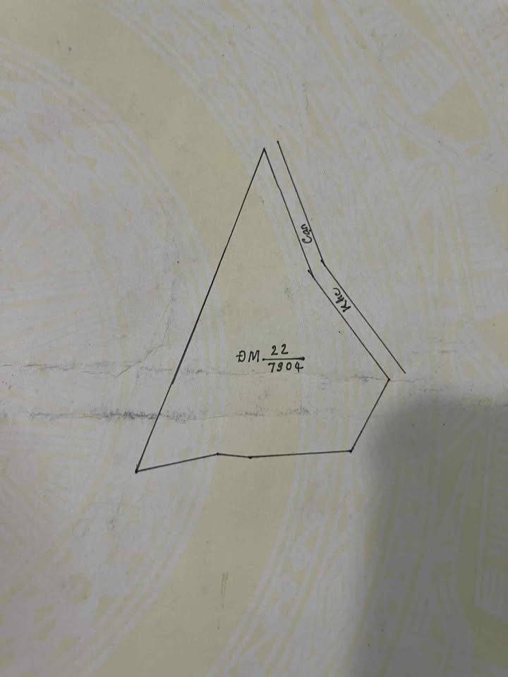 Đất Farm 2.4ha tại Đăk Ruồng, Kon Rẫy - Giá chỉ 700 triệu