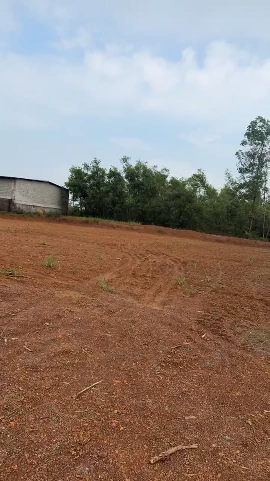 Đất nền xã Đại Sơn, Đô Lương 1072m² giá 2 tỷ - Đầu tư tiềm năng!