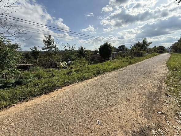 Đất mặt tiền đường nhựa Ea Sin 150m² chỉ 199 triệu - Cơ hội đầu tư tuyệt vời!