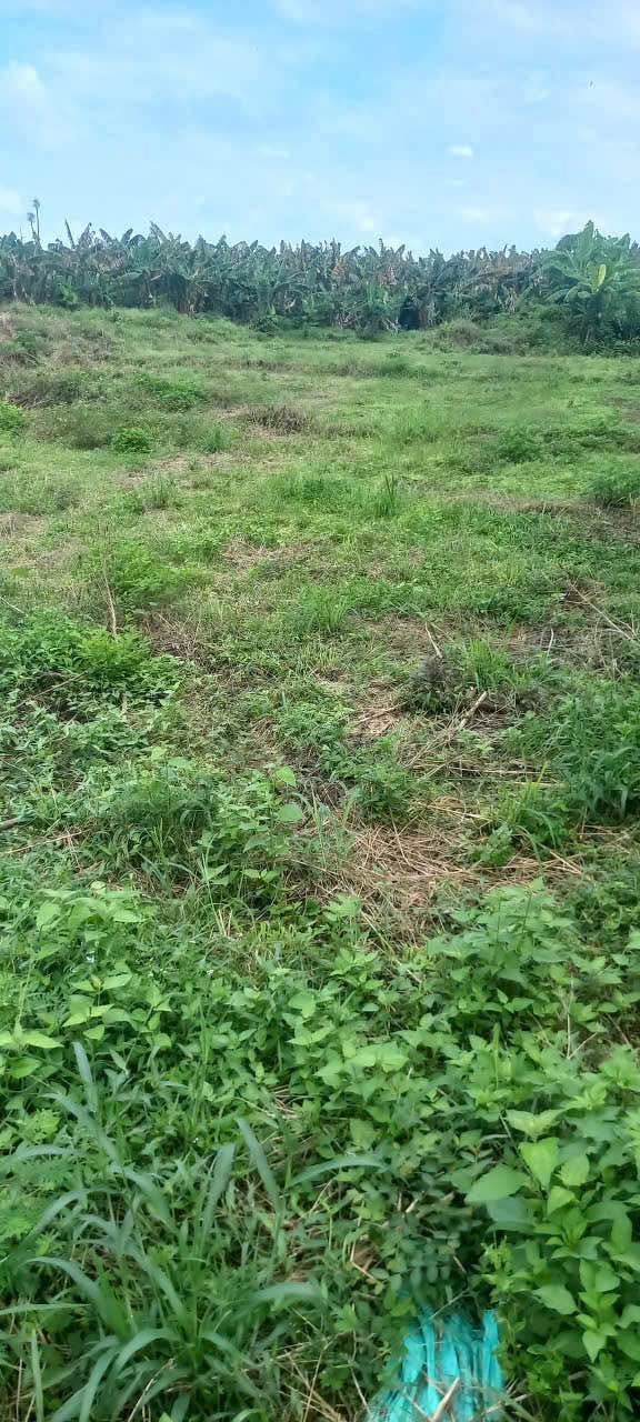 Đất nền Phú Hòa, Định Quán 1000m² giá 580 triệu - Đầu tư sinh lời ngay!