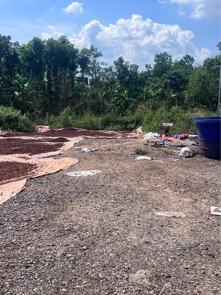 Đất nền 2880m² tại Phú Lâm, Tân Phú - Giá chỉ 1,2 tỷ, sổ hồng đầy đủ!