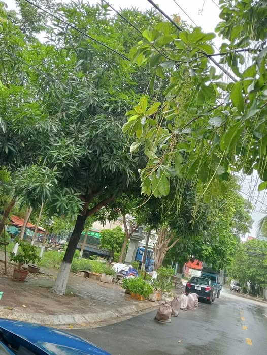 Đất nền Võ Cường Bắc Ninh 80m² giá 9 tỷ - Rẻ đến bất ngờ!