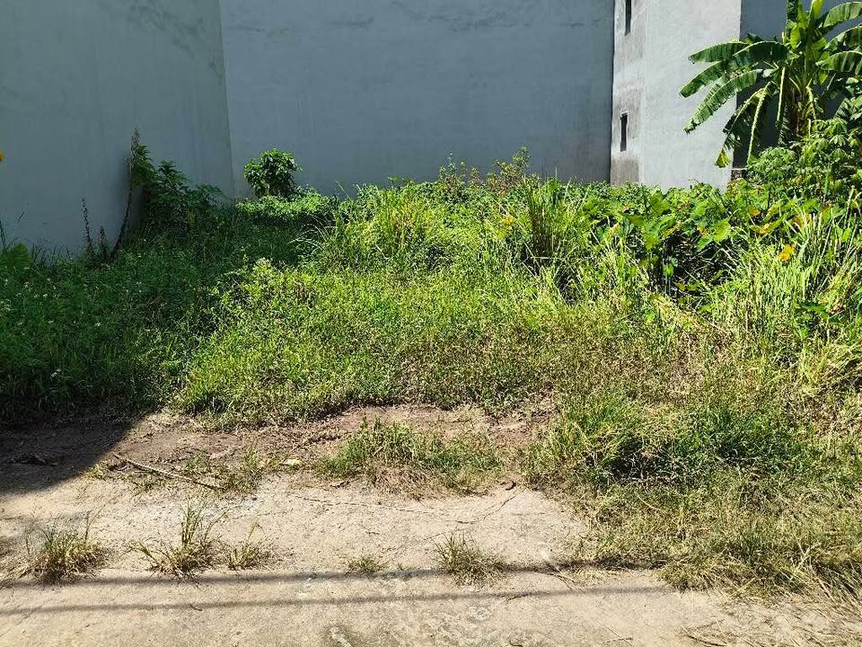 Đất nền Kim Sơn - Gia Lâm 80m² giá 3 tỷ - Đầu tư sinh lời ngay!